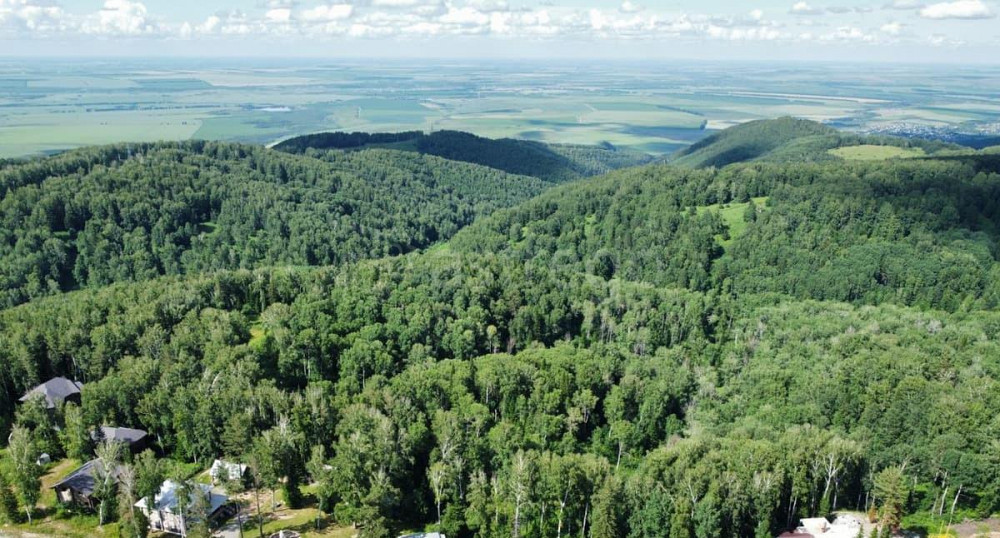 Коммерческий участок, 2.88 га Белокуриха - изображение 1