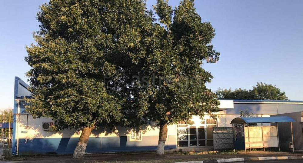 Торговое помещение, 700 м2 Гиагинская - изображение 4