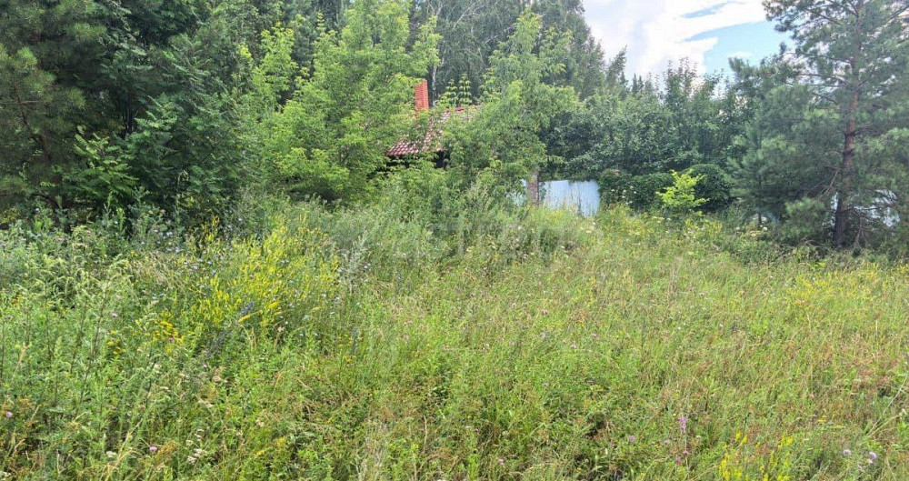 Земельный участок, 14.88 сотки Чишмы - изображение 5