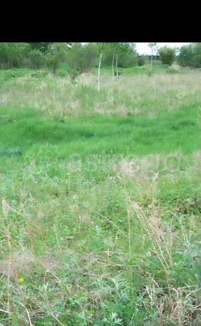 Земельный участок, 7 соток Свободный - изображение 3