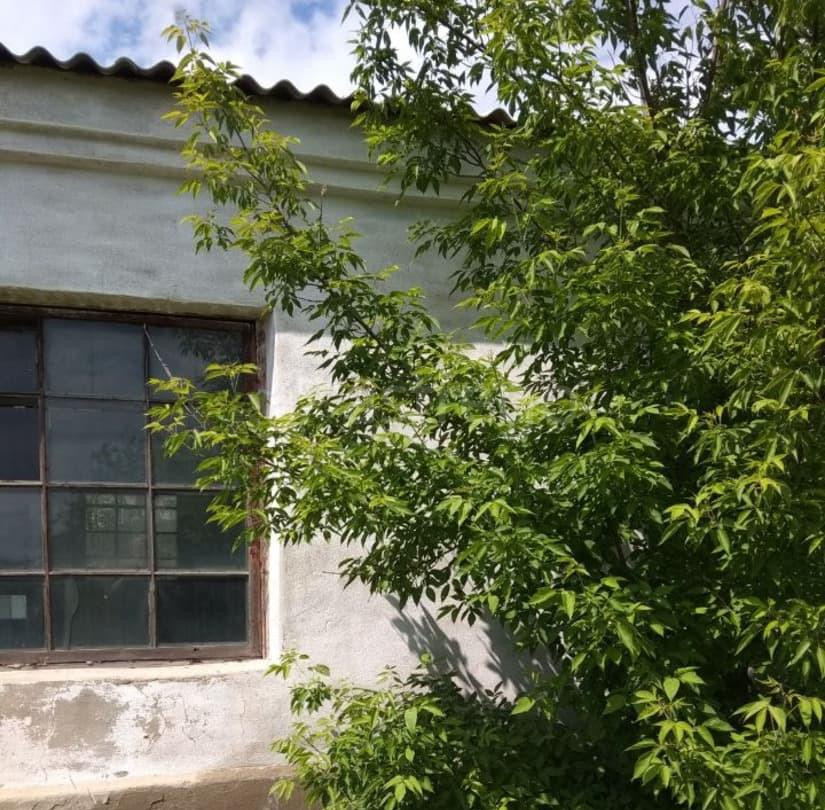 Свободного назначения, 551 м2 Кулунда - изображение 5