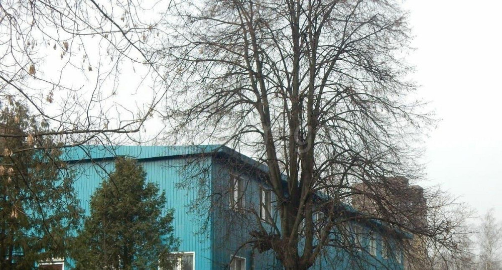 Дом, 947 м2, 9.87 га, 3 эт. Мытищи - изображение 1