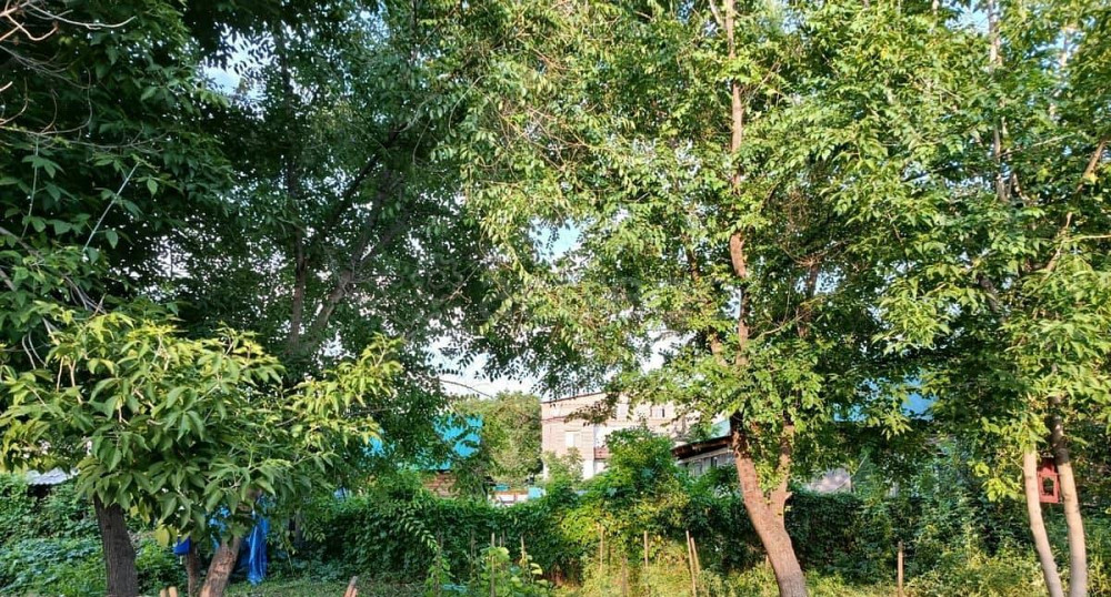 Земельный участок, 8 соток Благовещенск - изображение 6