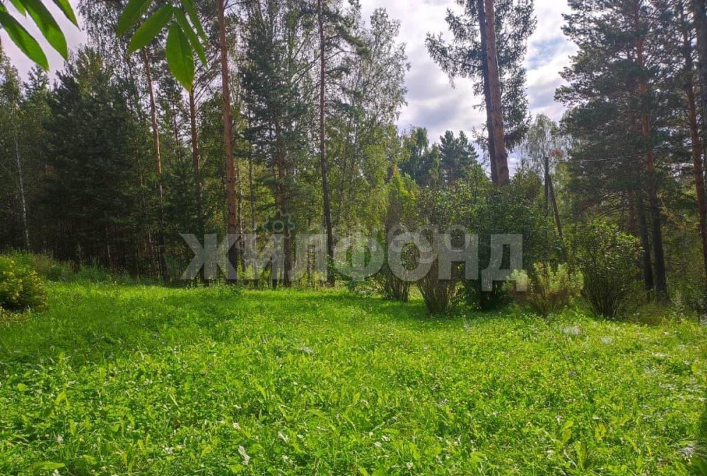 Земельный участок, 10 соток Емельяново - изображение 1