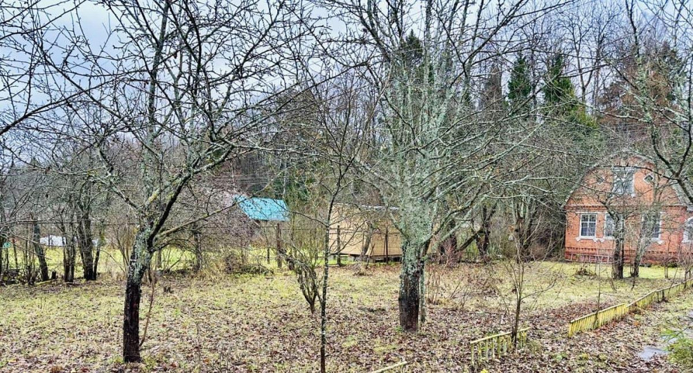Дом, 39 м2, 6 соток, 2 эт. Москва - изображение 2