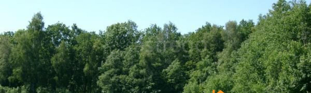 Коммерческий участок, 1 га Энем - изображение 3