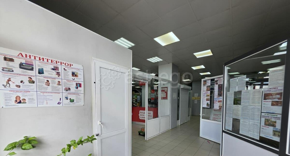 Торговое помещение, 480 м2 Волоколамск - изображение 2