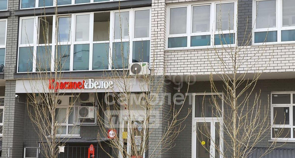 Свободного назначения, 163.5 м2 Барнаул - изображение 2