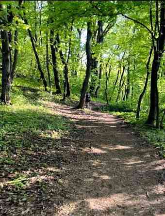 Земельный участок, 21 сотка Пущино