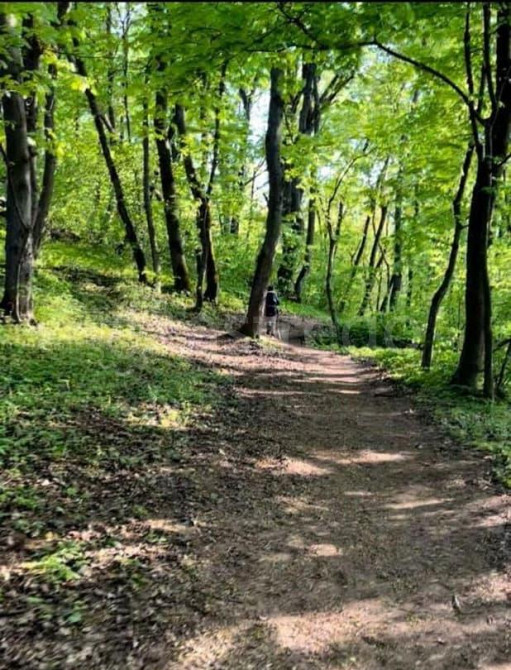 Земельный участок, 21 сотка Пущино - изображение 5