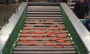 Машина для калибровки овощей роликовая Хабаровск