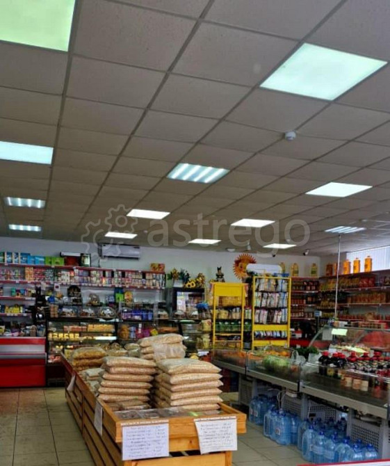 Готовый бизнес, 300 м Майкоп - изображение 6