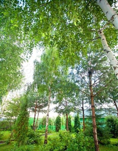 Коттедж, 950 м2 Электроугли - изображение 8