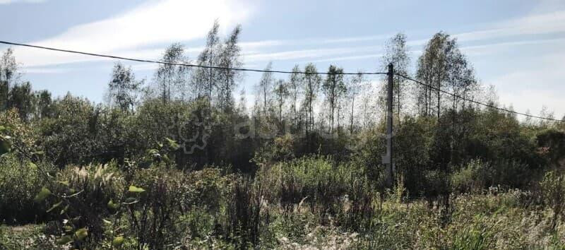 Земля с/х назначения, 7.5 сотки Солнечногорск - изображение 5