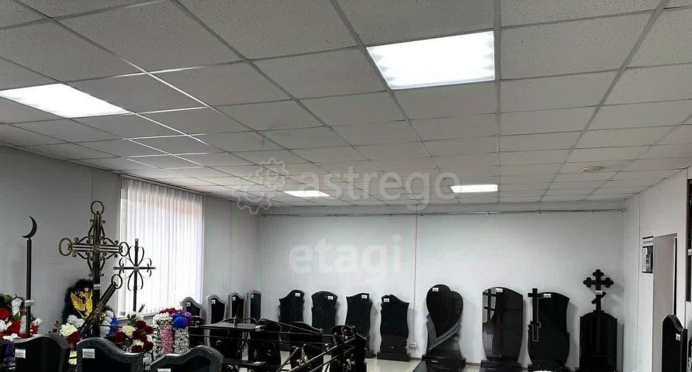 Торговое помещение, 458.3 м2 Благовещенск - изображение 4