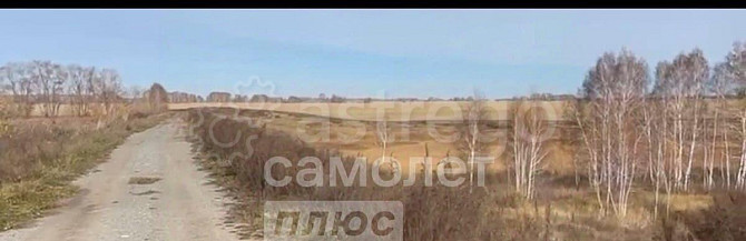 Коммерческий участок, 100 га Камень-на-Оби - изображение 4