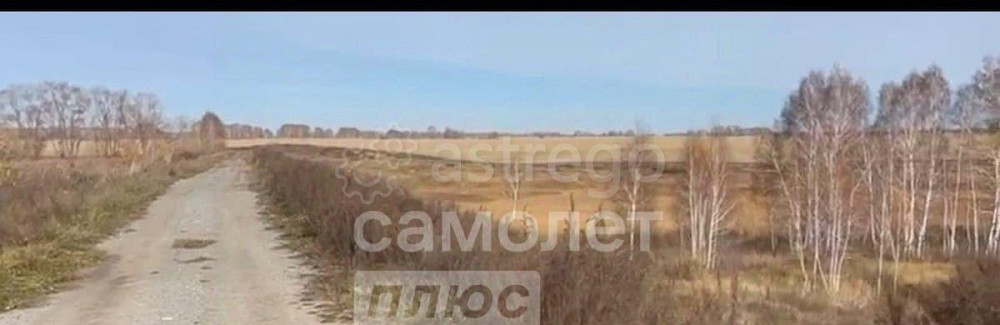 Коммерческий участок, 100 га Камень-на-Оби - изображение 4