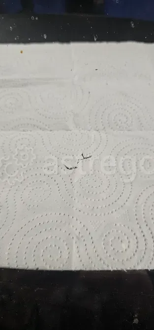 Ремонт сколов и трещин на Автостеклах Санкт-Петербург - изображение 5