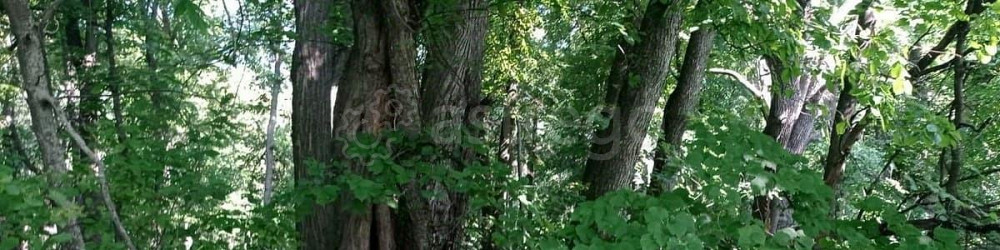 Земельный участок, 12 соток Уфа - изображение 3