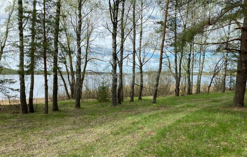 Земля с/х назначения, 9.6 га Руза - изображение 4