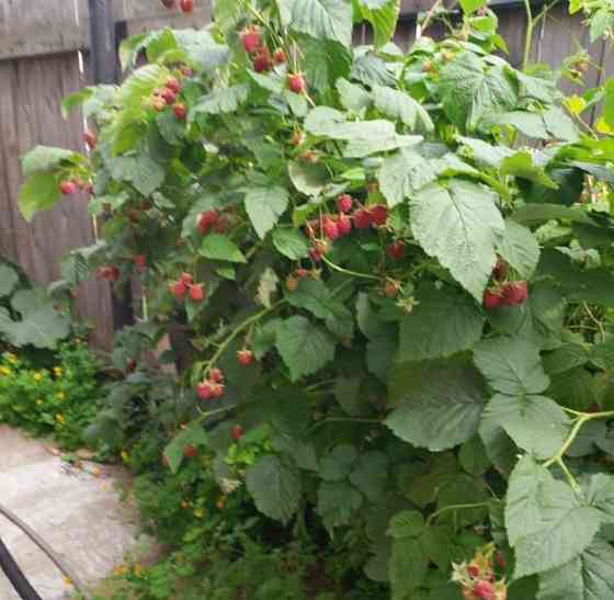 Дом, 58.5 м2, 9 соток, 1 эт. Минусинск