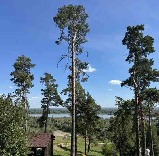 Земельный участок, 6 соток Барнаул