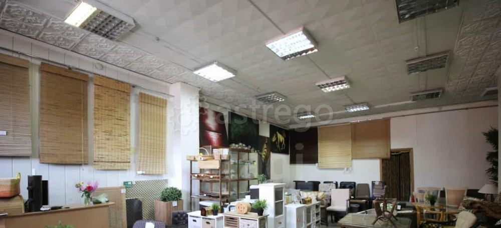 Торговое помещение, 341.4 м2 Красноярск - изображение 3