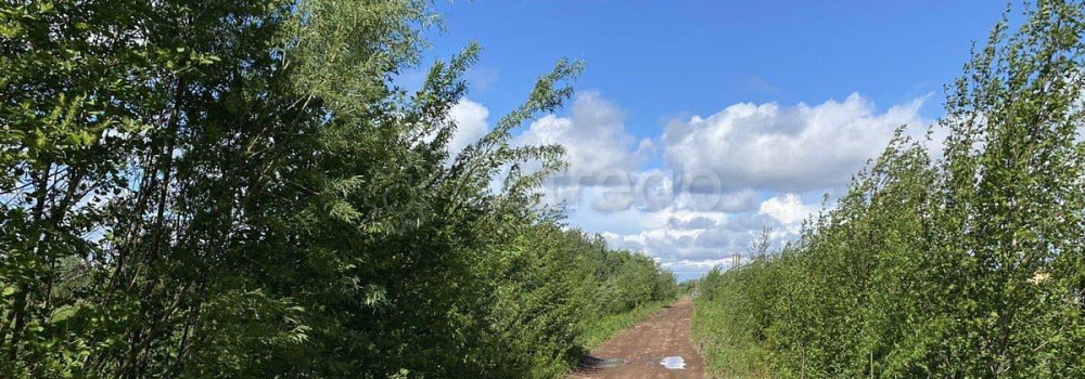 Земельный участок, 30 соток Архангельск - изображение 3