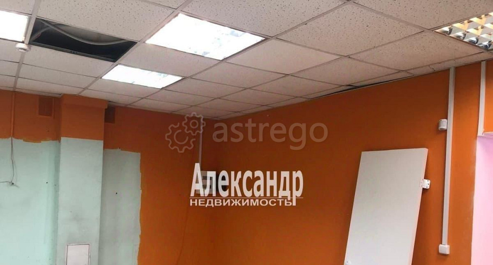 Торговое помещение, 45 м2 Санкт-Петербург - изображение 2