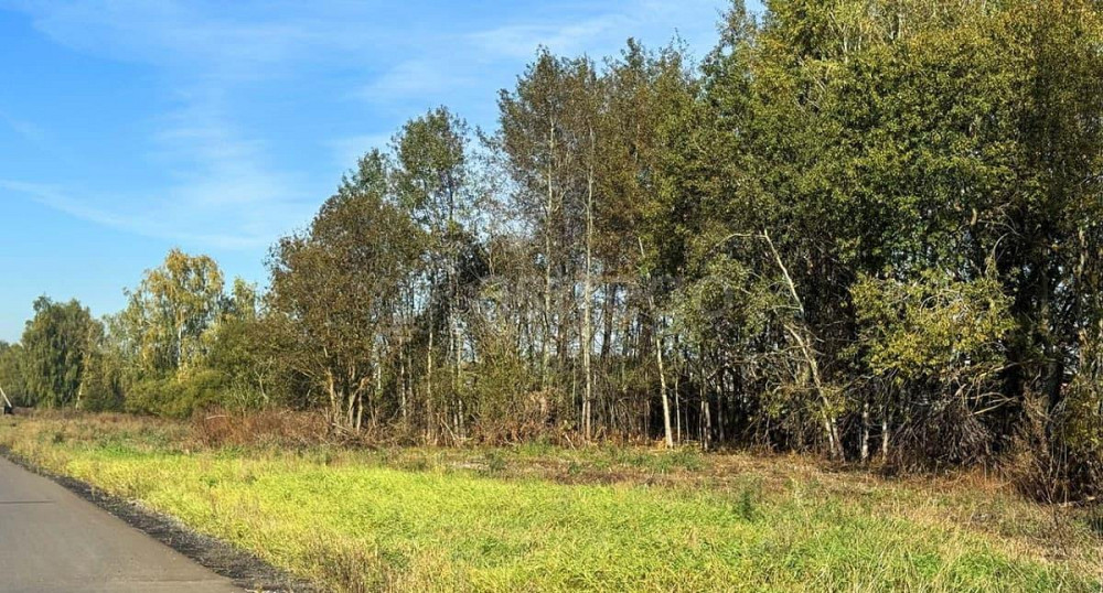 Земельный участок, 6.2 сотки Домодедово - изображение 4