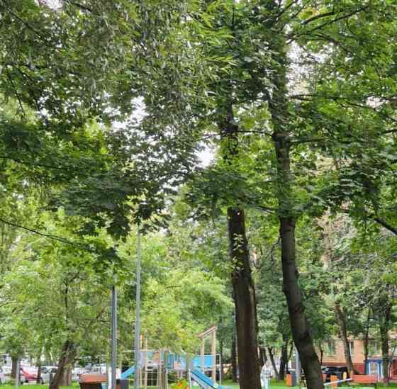 1-комн. квартира, 37 м2, 1/5 эт. Москва