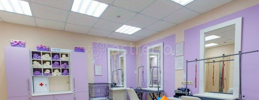 Готовый бизнес, 40 м2 Санкт-Петербург - изображение 1