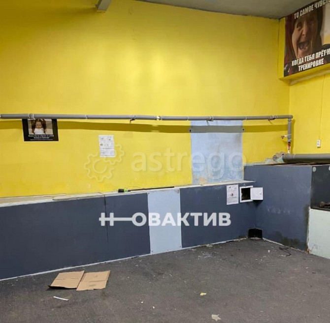 Свободного назначения, 387.5 м2 Барнаул - изображение 3