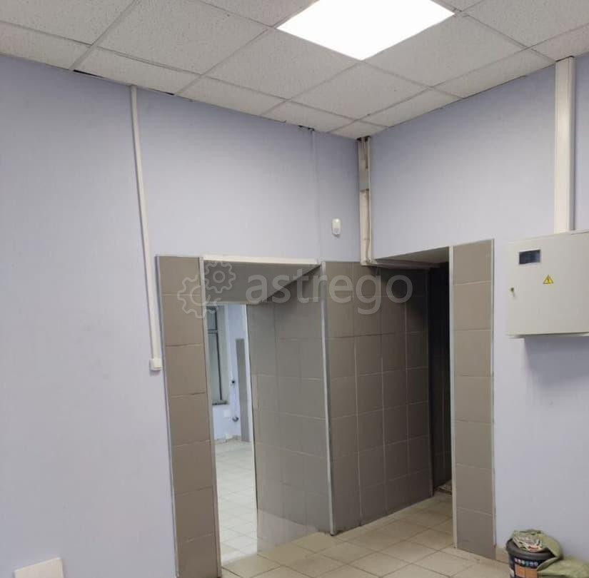Торговое помещение, 482 м2 Санкт-Петербург - изображение 7