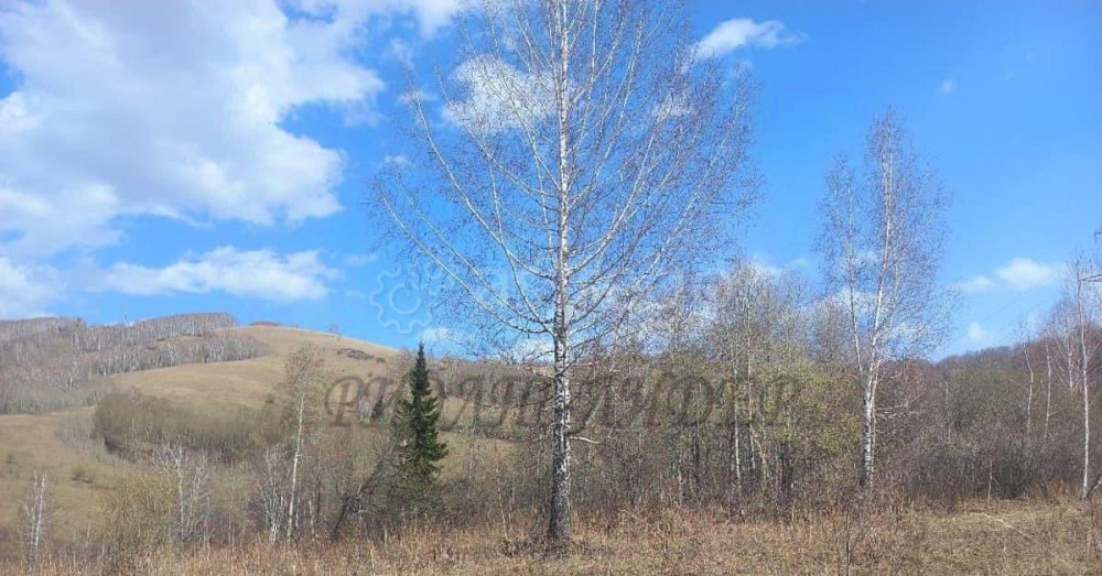 Земельный участок, 9.5 сотки Горно-Алтайск - изображение 1
