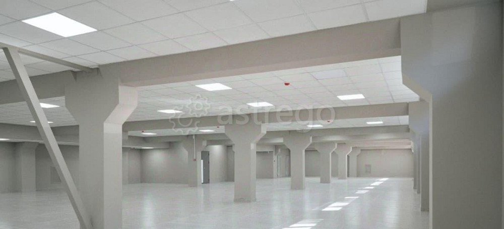 Торговое помещение, 964 м2 Санкт-Петербург - изображение 3