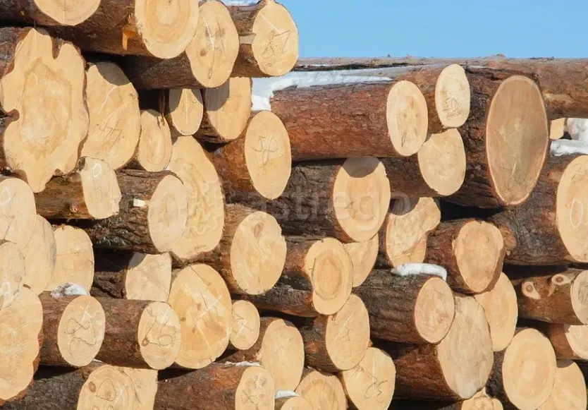 Круглый лес из Сибири Красноярск - изображение 1