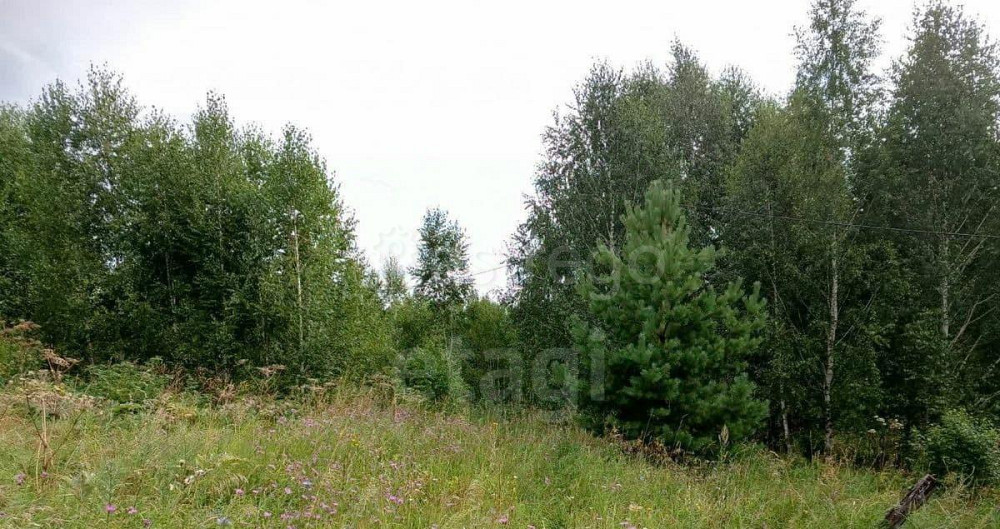 Земельный участок, 5.5 сотки Горно-Алтайск - изображение 3