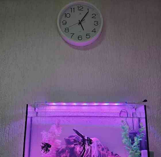 Офис, 22 м2 Красноярск