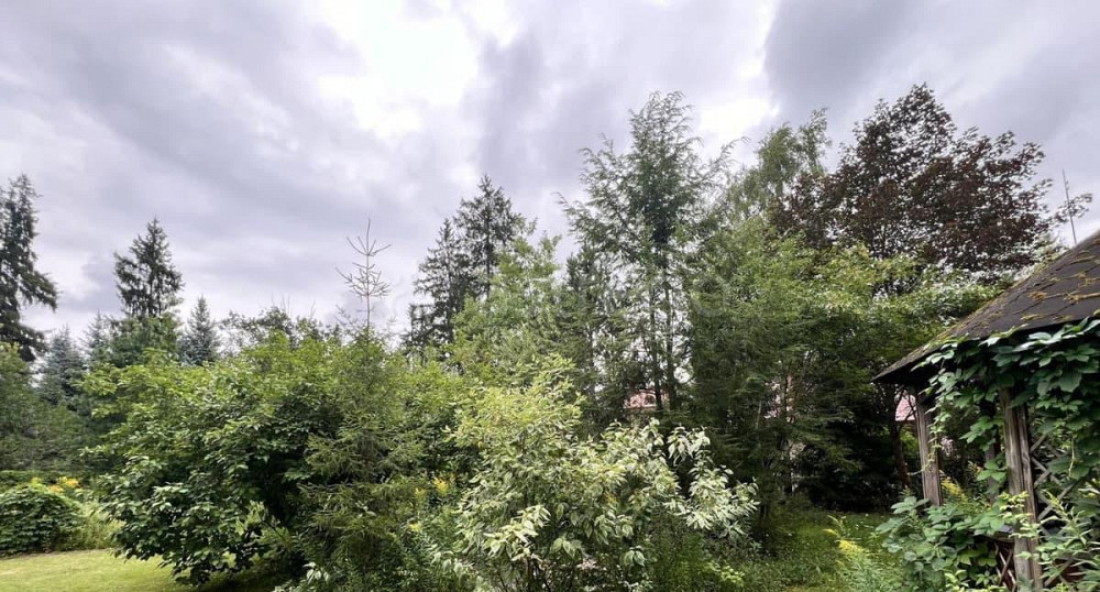 Дом, 300 м2, 20 соток, 3 эт. Москва - изображение 5