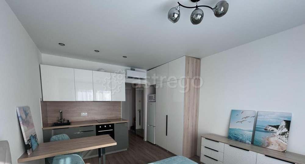 Студия, 20 м2, 17/23 эт. Москва - изображение 2