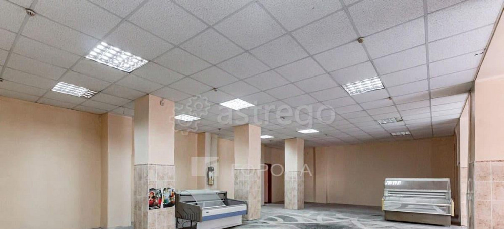 Торговое помещение, 288 м2 Барнаул - изображение 2
