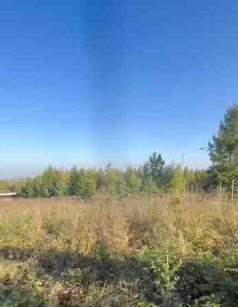 Земельный участок, 20 соток Березовка