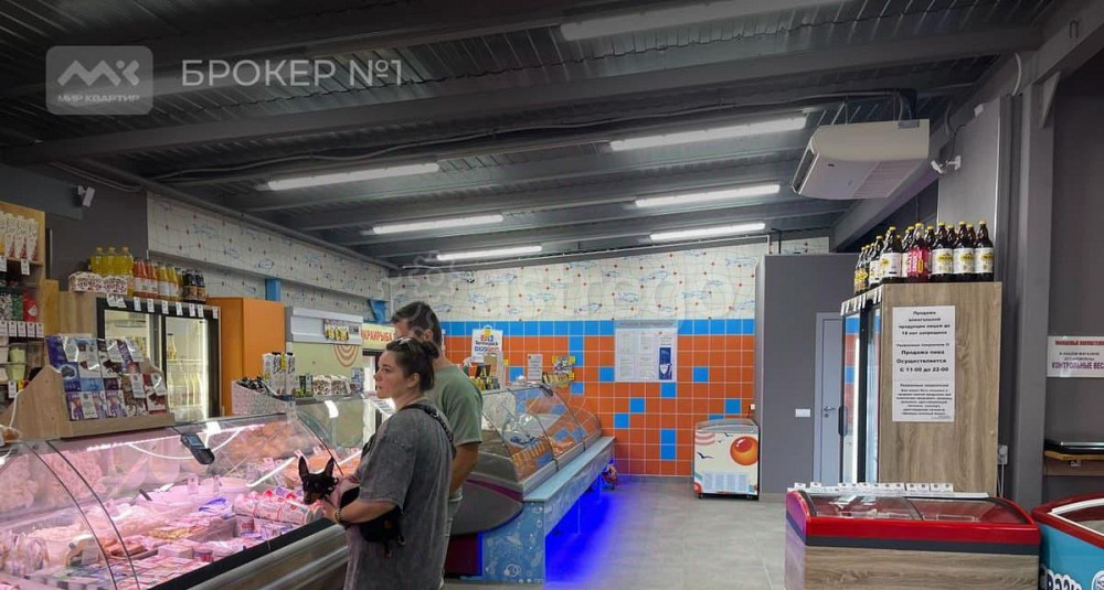 Торговое помещение, 205 м2 Санкт-Петербург - изображение 5