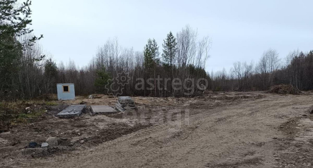 Земельный участок, 3.05 га Новодвинск - изображение 4