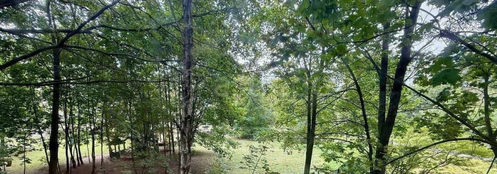 Комната, 11 м2, 2/5 эт. Санкт-Петербург - изображение 7