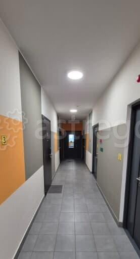 Студия, 25.5 м2, 3/5 эт. Санкт-Петербург - изображение 3