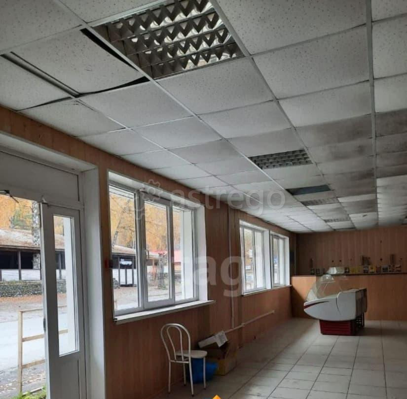 Торговое помещение, 530.3 м2 Алтайское - изображение 2