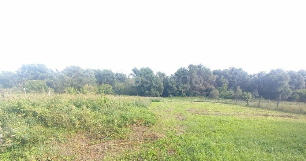 Дом, 34 м2, 30 соток, 1 эт. Чекмагуш - изображение 5