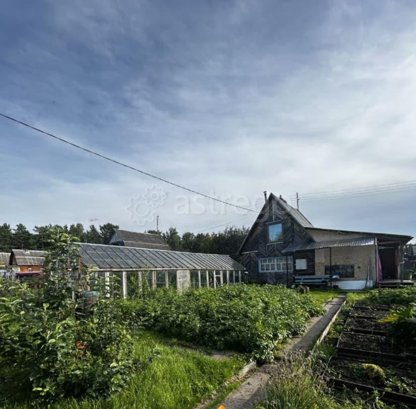 Дом, 26 м2, 12 соток, 2 эт. Березовка - изображение 1